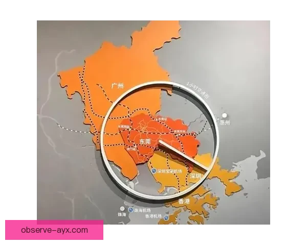 和睦法兰克福俱乐部的崛起之路与城市足球文化传承欧洲荣耀新篇史