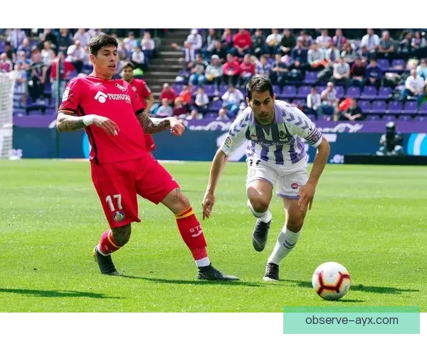 西甲球队巴拉多利德俱乐部沉浮历史青训传承与复兴前景深度观察